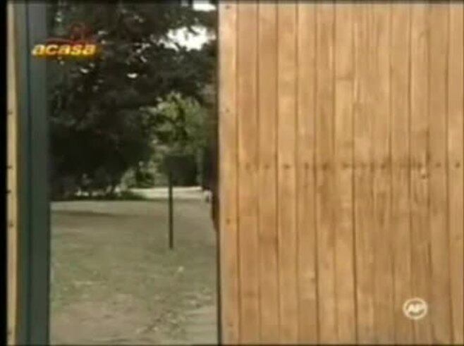 Se suicidó el actor Osvaldo Guidi