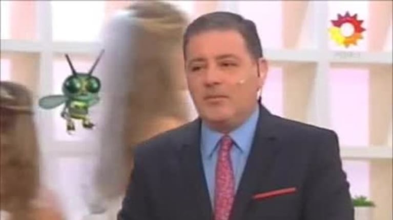 Así arrancó Nosotros al mediodía con Fabián Doman: imperdible "informe" de Jelinek en Miami