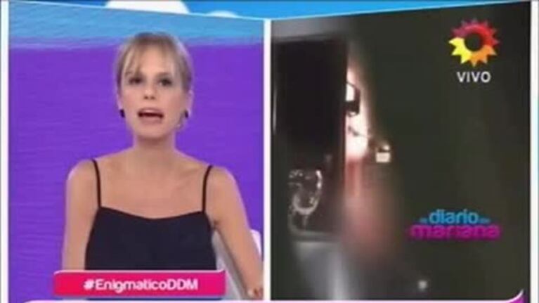 Luciana Salazar habló de las imágenes junto a Martín Benedittini, un empresario de 61 años: "Es un amigo, no fue una cena romántica"