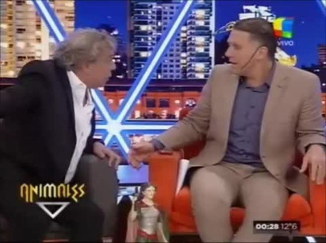 Sofía Zámolo, sacada en Animales Sueltos: su reacción contra Coco Sily