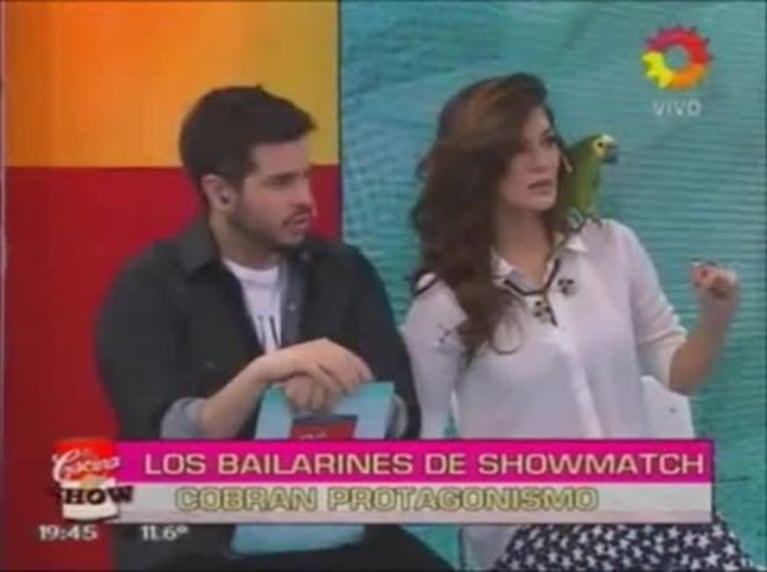 Sofía Savoy, la bailarina de Marcelo Tinelli, sobre su relación con Nicolás Cabré: "Nos hemos visto varias veces, pero no estamos saliendo"
