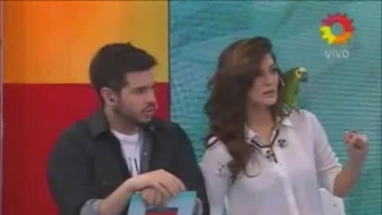 Sofía Savoy, la bailarina de Marcelo Tinelli, sobre su relación con Nicolás Cabré: "Nos hemos visto varias veces, pero no estamos saliendo"