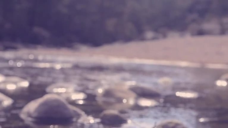 Video Placeholder