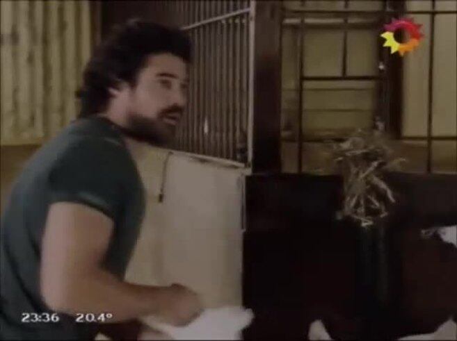 ¡El video! Los ricos no piden permiso: el tremendo beso de Luciano Castro a Julieta Cardinali que fue TT