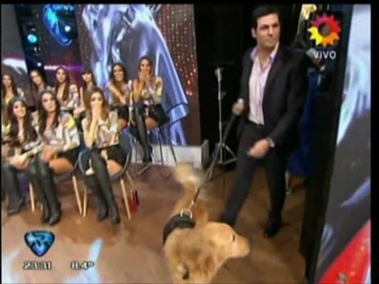 Se armó la guerra de agua en ShowMatch