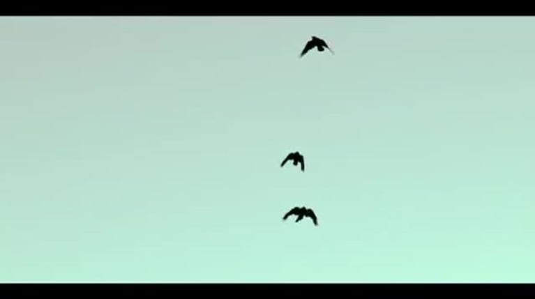 Video Placeholder