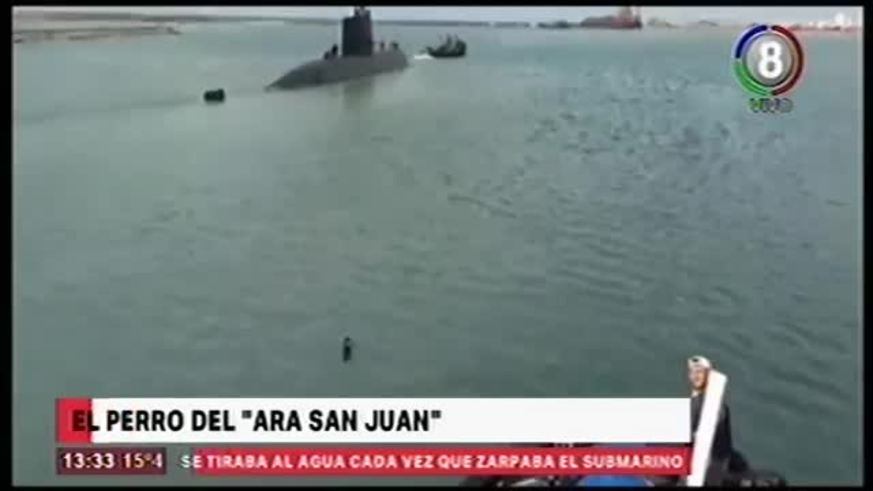 perro ara san juan.mp4