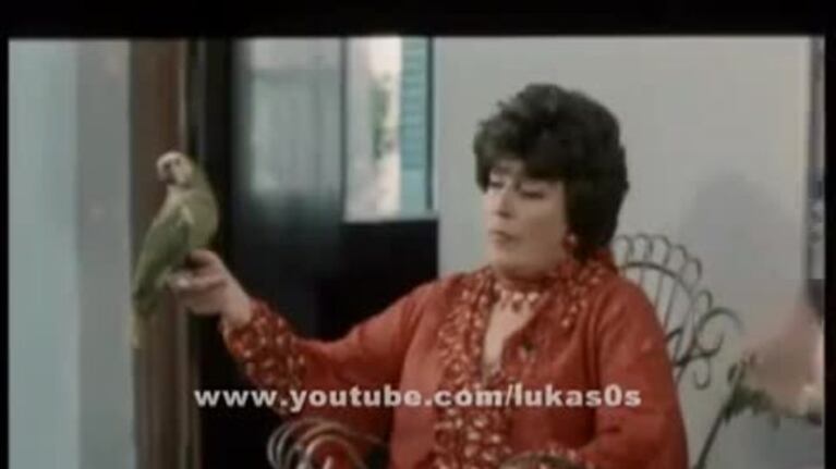 Video inédito de China Zorrilla en Esperando la carroza: las desopilantes escenas que quedaron afuera... ¡y un genial blooper con un loro!