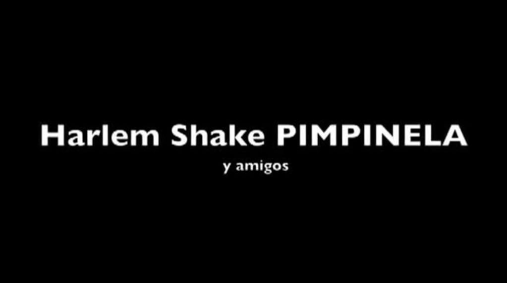Los Pimpinela se animaron a participar del Harlem Shake