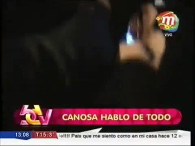 Viviana Canosa habló de su posible regreso a la TV