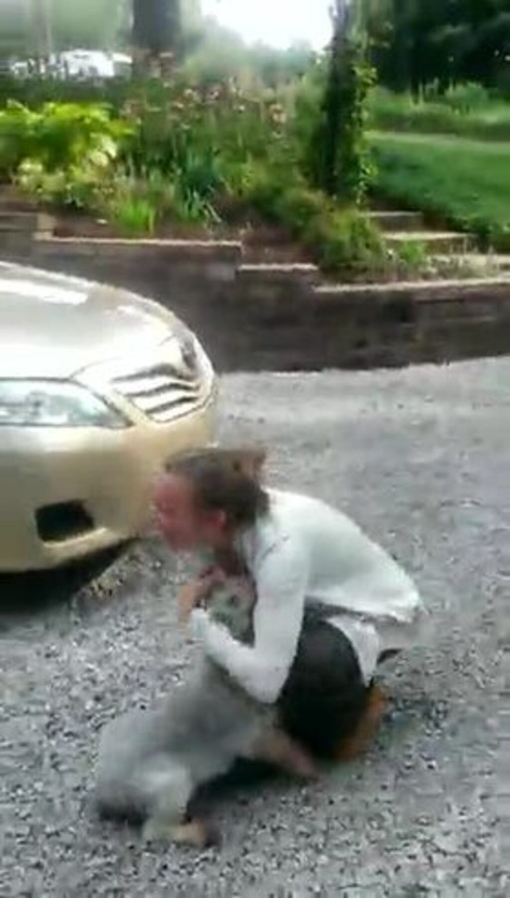 Video: un perro se desmaya de emoción al ver a su dueña después de dos años