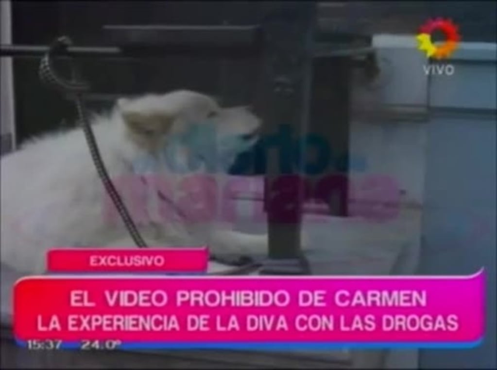 El loco video de Carmen Barbieri bajo los efectos de la marihuana