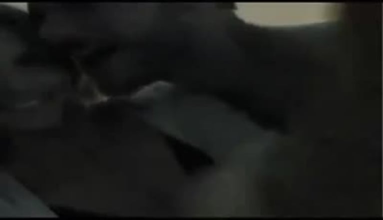 El video "prohibido" de Fernanda Lima: la verdad de las imágenes que son furor en la Web