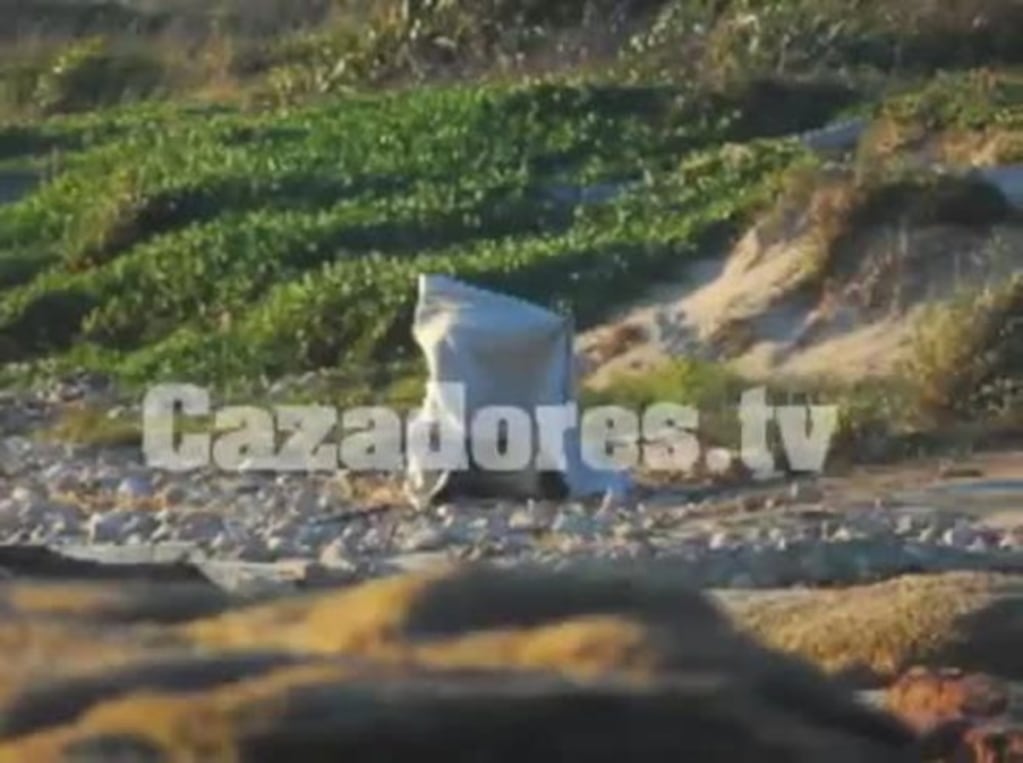 Liz Solari y un polémico video hot con su novio en la playa