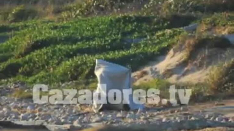 Liz Solari y un polémico video hot con su novio en la playa