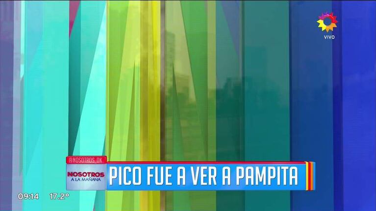 Pico Mónaco, tras la propuesta de Cubero de reunir a Pampita y Nicole en una cena: "Sí, está bien; va a ser..."