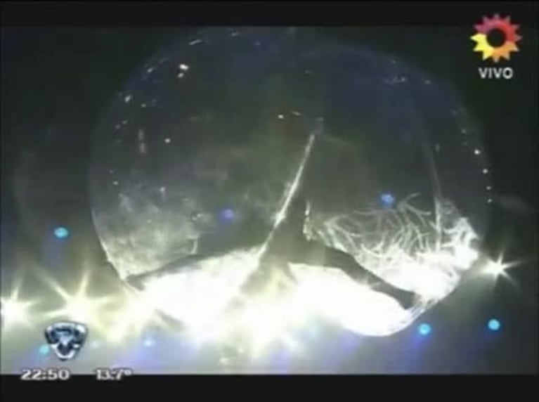 ShowMatch: así fue la gran apertura del Aquadance, con 18 artistas en escena