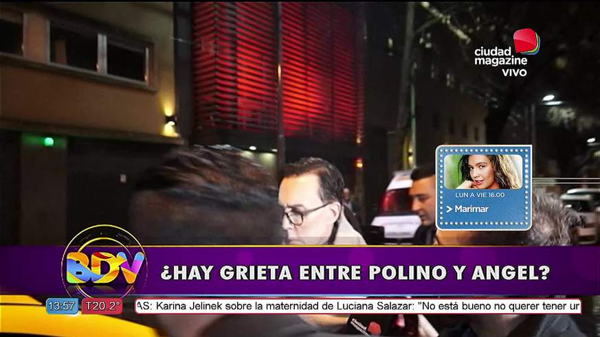 Polino