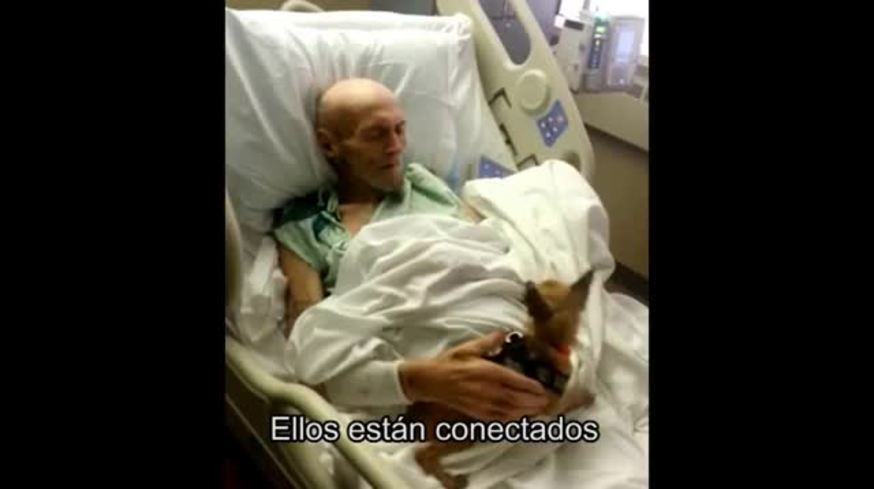 El emotivo reencuentro de un paciente de terapia intensiva con su perro