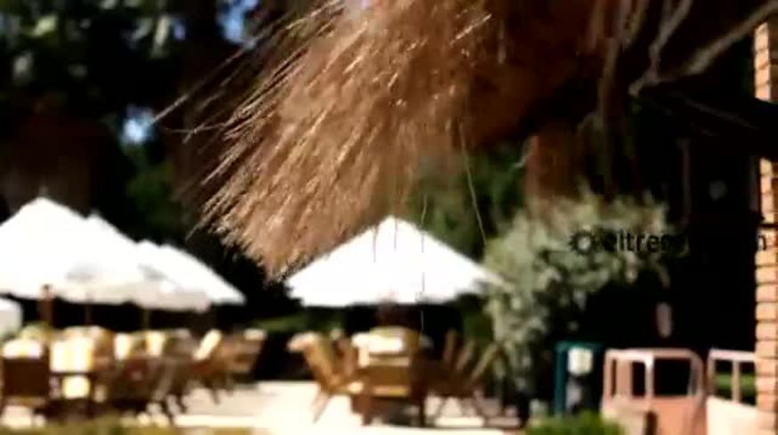 ¡Estalló el verano!: las azafatas de A todo o nada calientaron la temporada de pileta