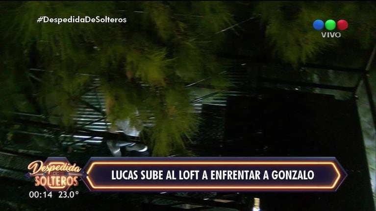 El tenso saludo de Gonzalo y Lucas en Despedida de solteros