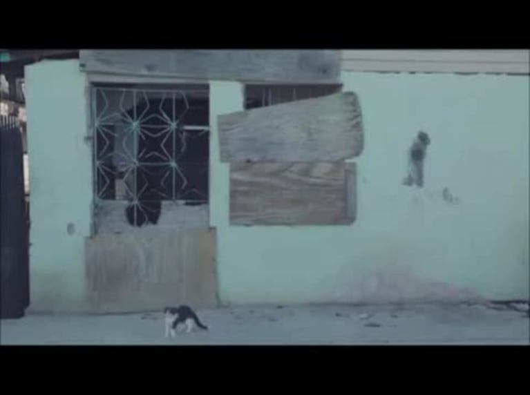 Video Placeholder