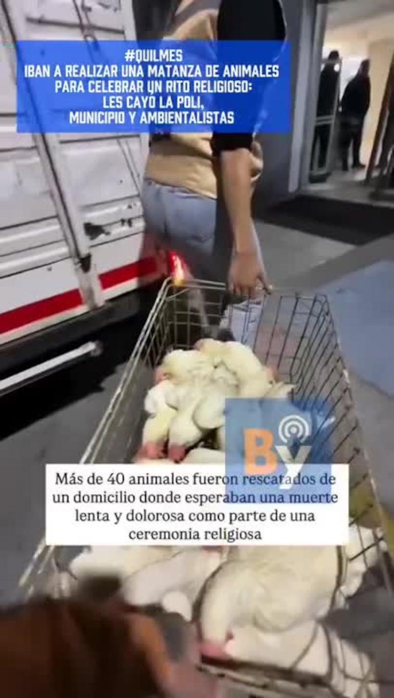 Video Placeholder