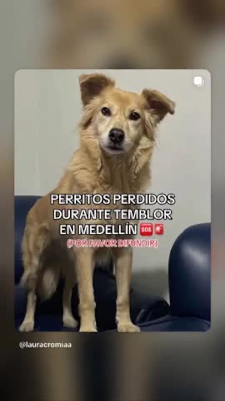 Video Placeholder