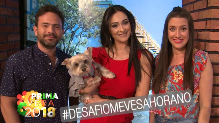 ¡Llega la primavera y Ciudad Magazine te desafía!