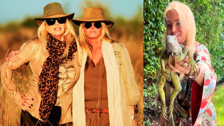 Susana Giménez y su hija encontraron una iguana en el jardín: su escatológica reacción