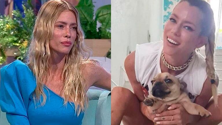 Nicole Neumann denunció en sus redes sociales que le robaron a una de sus perritas