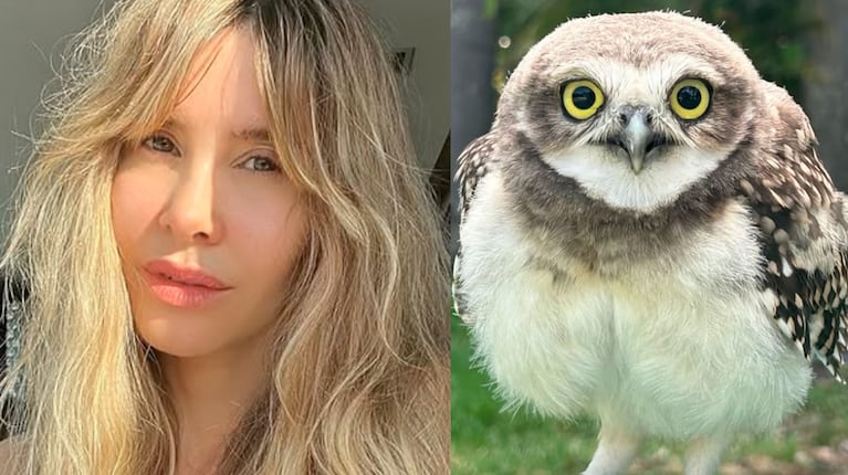 Guillermina Valdés rescató a una lechuzita que se cayó al agua y le busca veterinario: el video