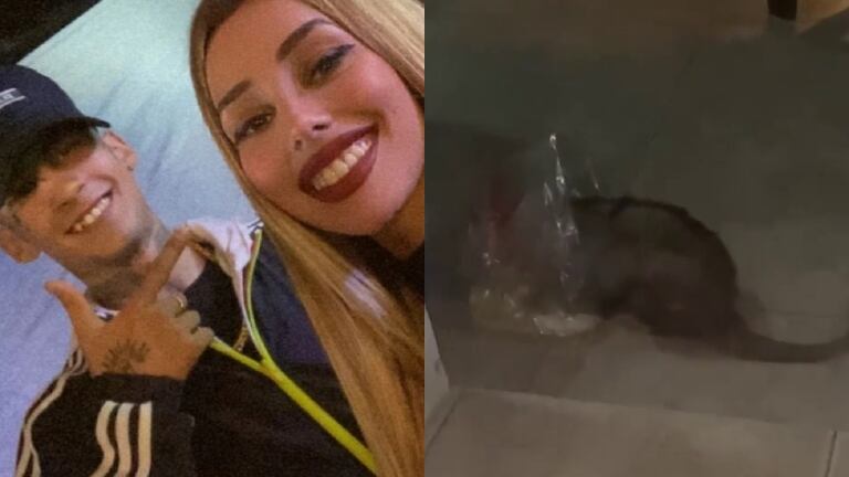 Tamara Báez y L-Gante grabaron a la comadreja que entró en su casa: "Alta comida encontró"