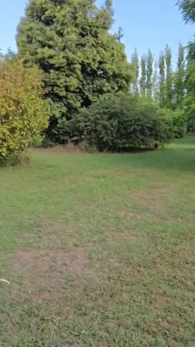 Video Placeholder