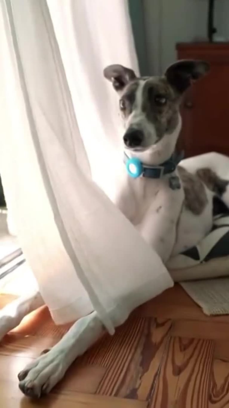 Video Placeholder