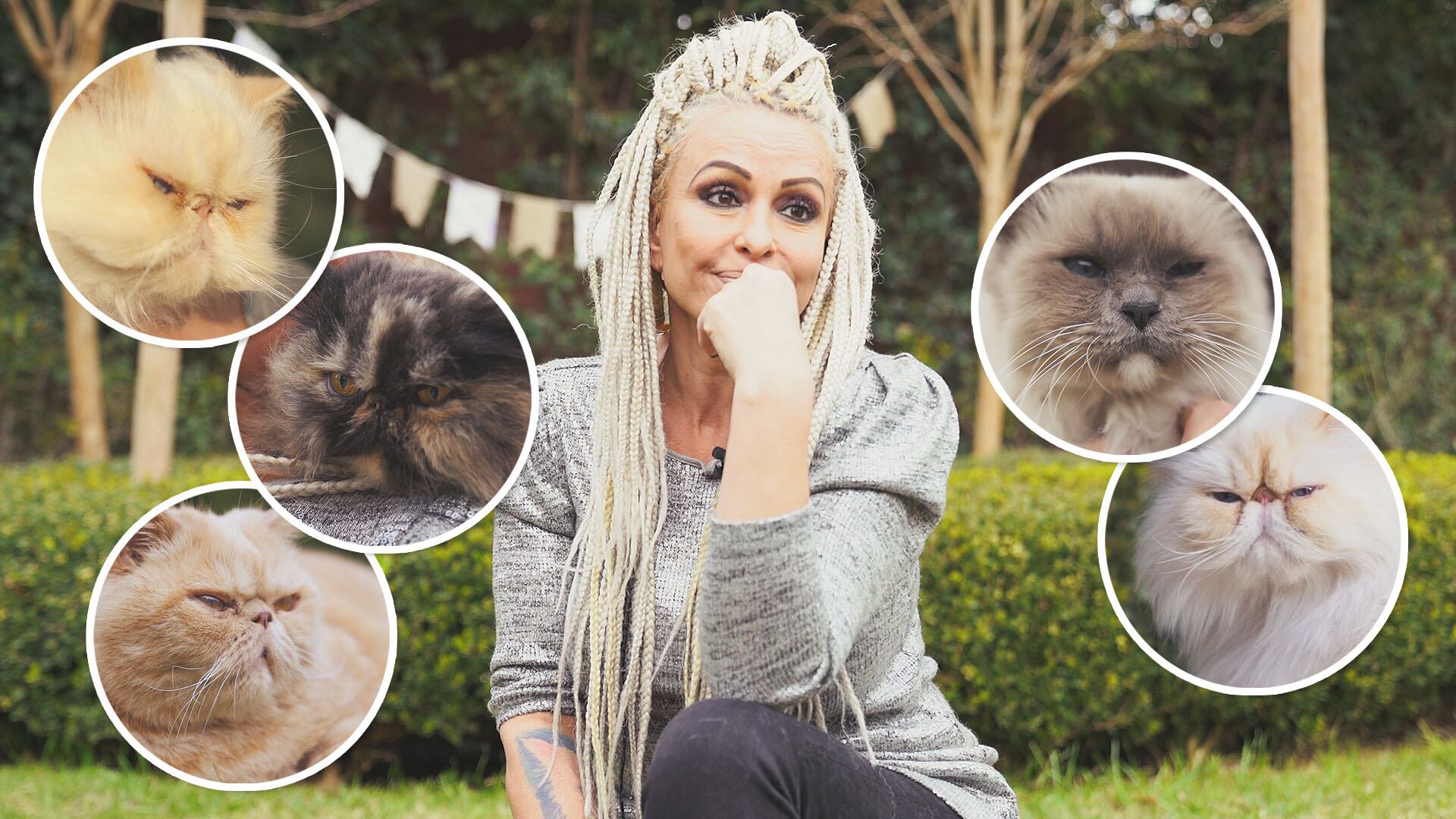 #Bicheros: Daniela Cardone y sus cinco gatos en la intimidad de su casa 