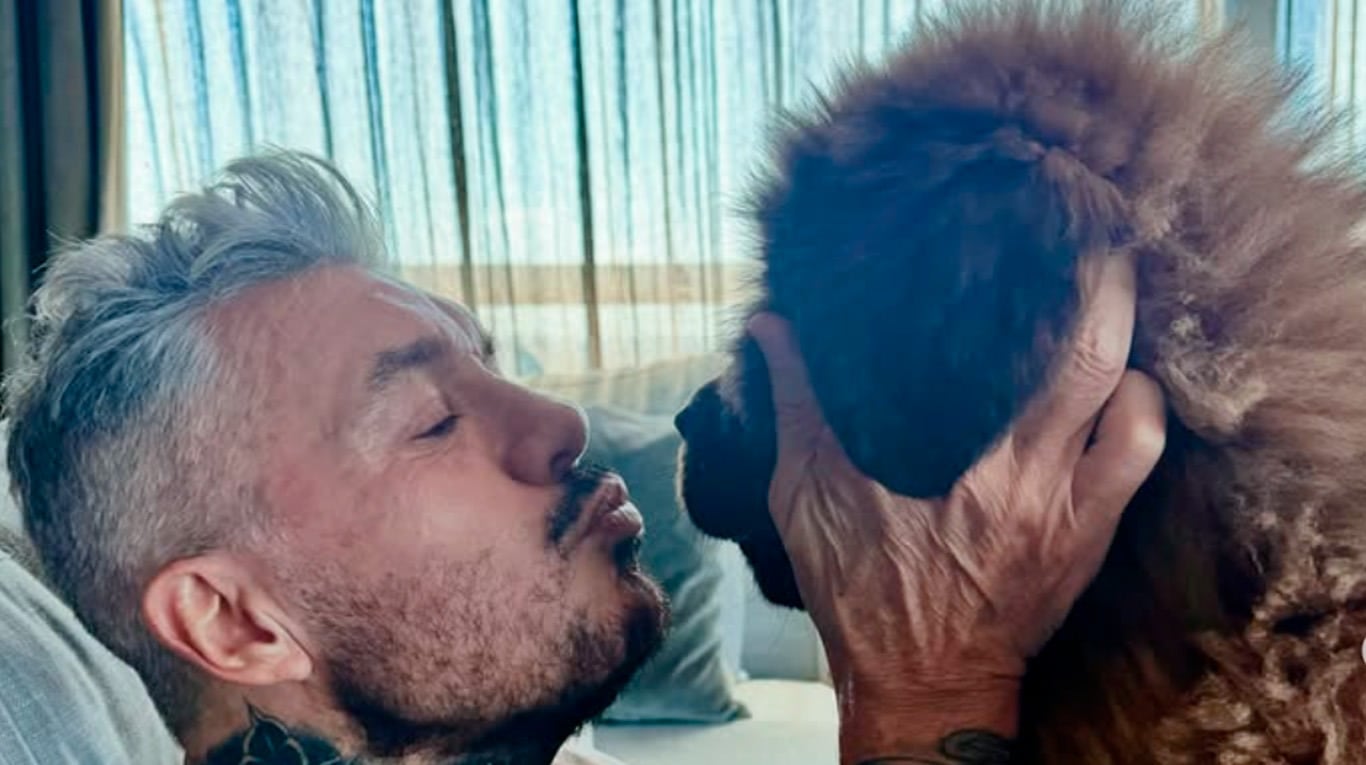 Marcelo Tinelli mostró la travesura de su perro: el video