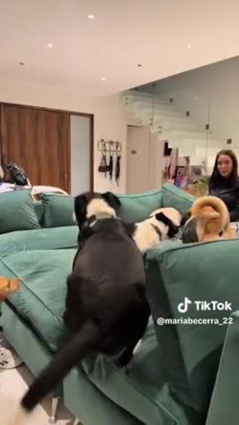 Video Placeholder