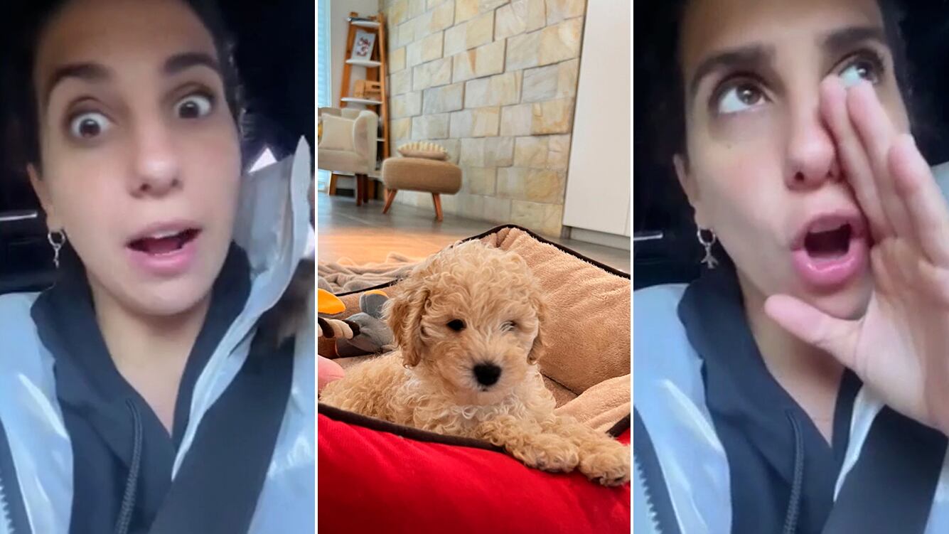 Cinthia Fernández reaccionó tras ser acusada de comprar a su nueva mascota