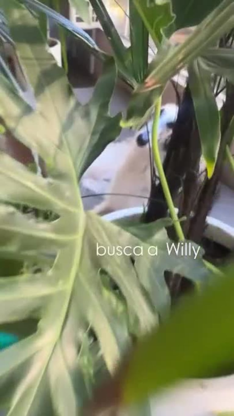 Video Placeholder