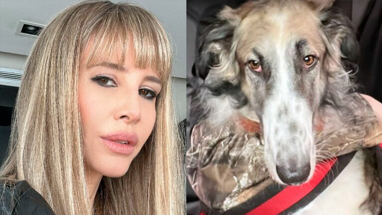 Guillermina Valdés enterneció a sus seguidores con un video súper dulce de su perro “haciendo ojitos”