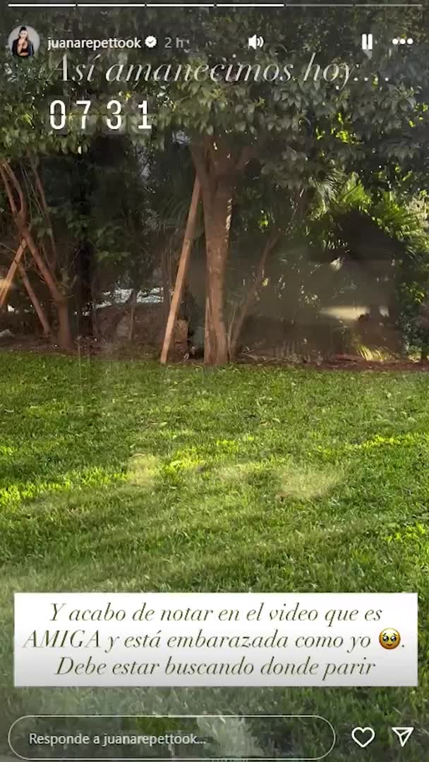 Juana Repetto sorprendió al mostrar la visita más tierna en pleno embarazo