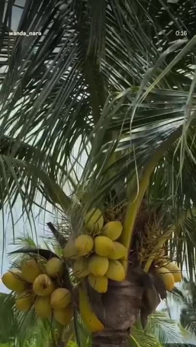 Video Placeholder