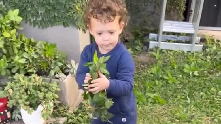 El tierno video de Donatello, el hijo de Noelia Marzol y Ramiro Arias, limpiando el jardín: "Hacendoso"