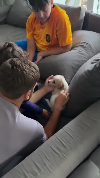 Barbie Vélez mostró el detrás de escena de la llegada de su nueva mascota