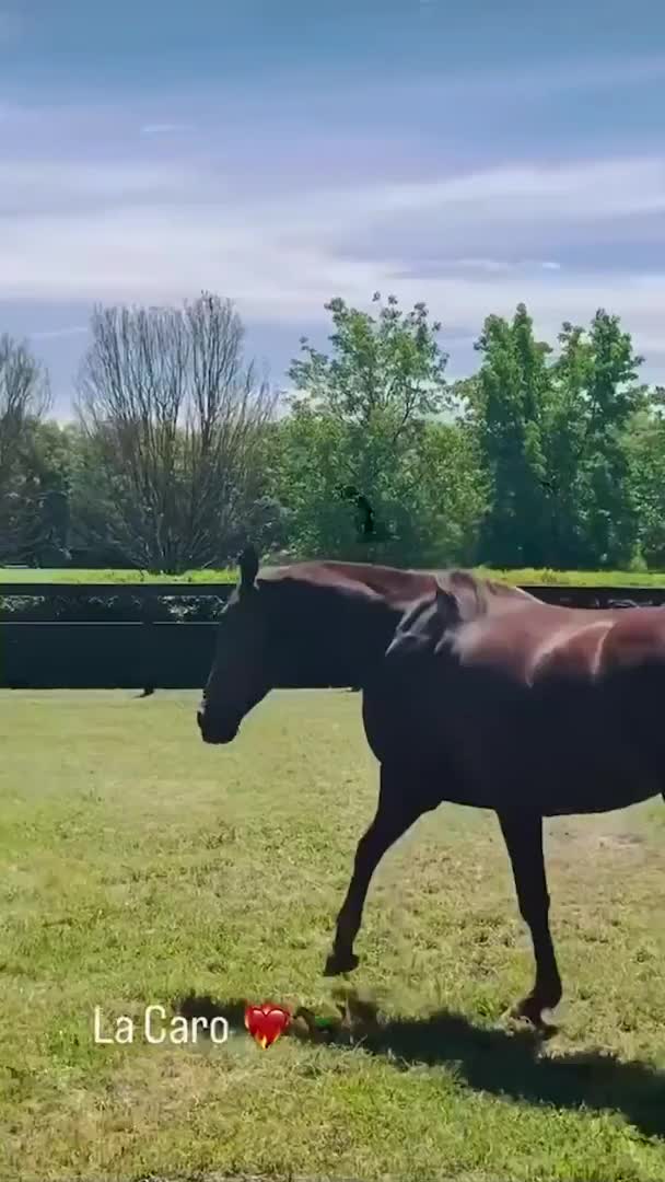 Martín Pepa homenajeó a Pampita con un tierno gesto: “La caro”