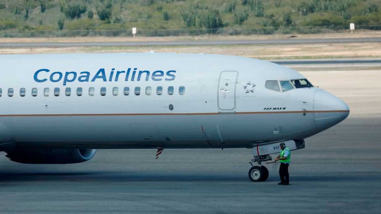 Revelaron cómo reaccionó la familia del arquitecto denunciado por tener sexo en un avión