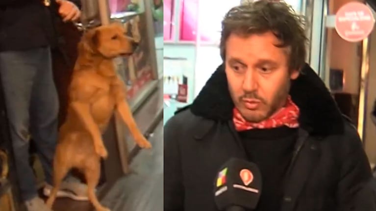 A Benjamín Vicuña casi lo muerde un perro en plena nota sobre la China Suárez y Mauro Icardi