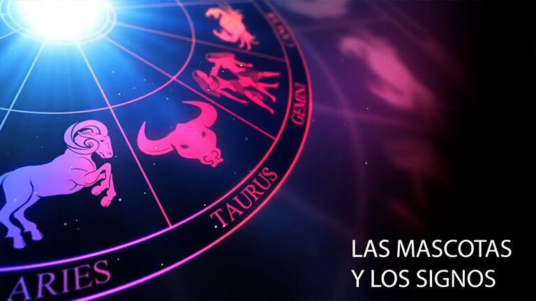 Tu mascota ideal según tu signo