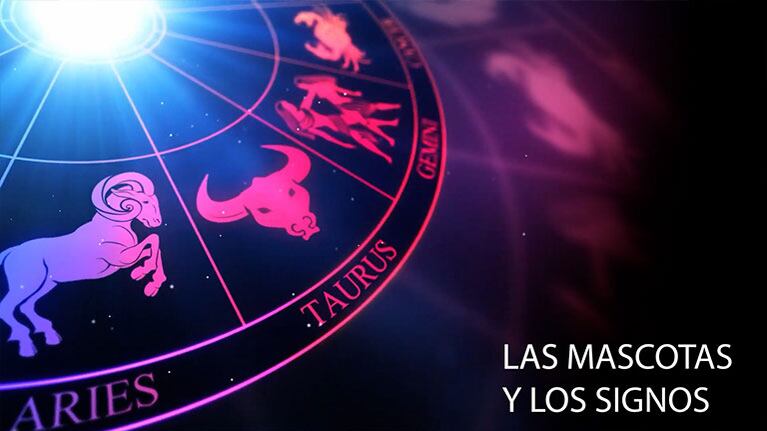 Tu mascota ideal según tu signo
